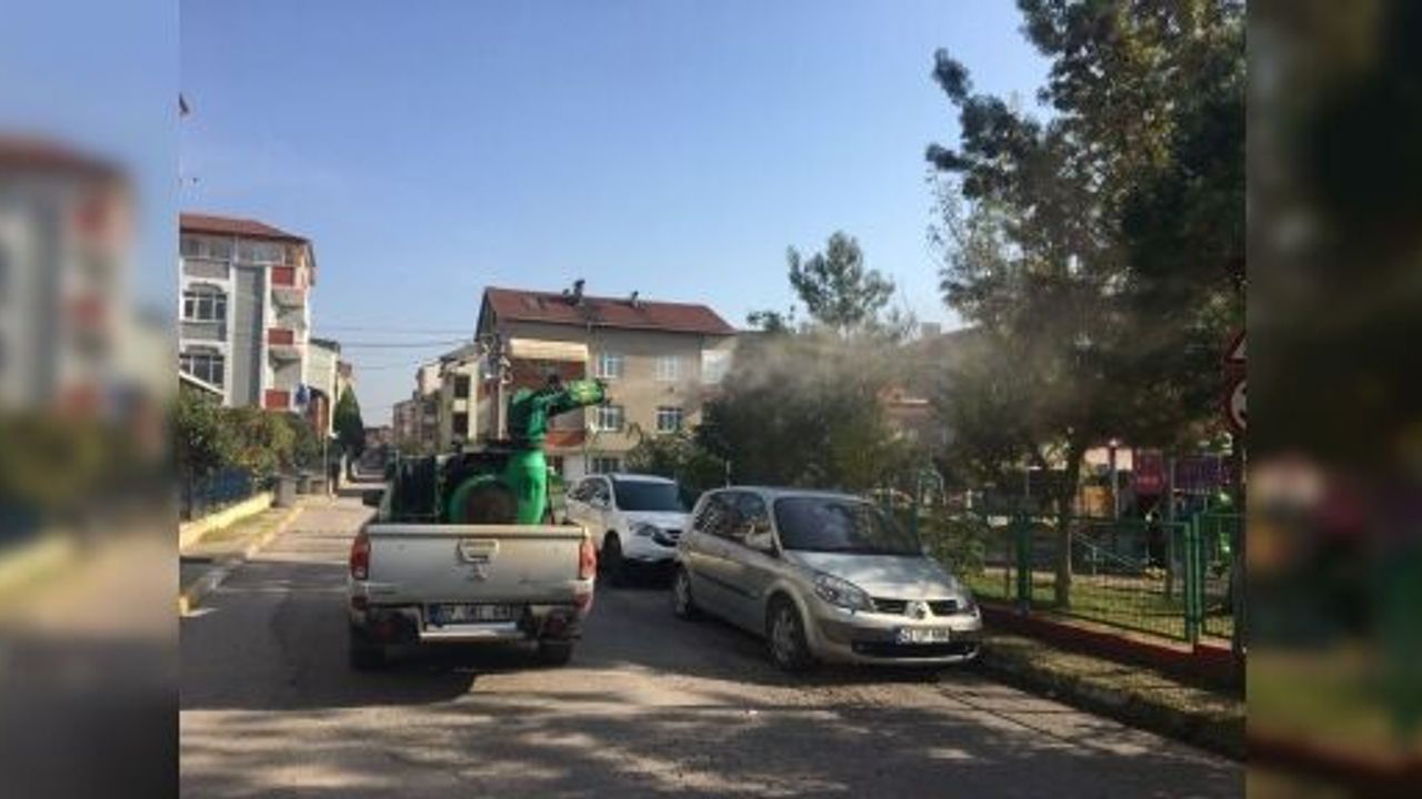 KÖRFEZ'DE ÇAM KESE TIRTILI İLE MÜCADELE