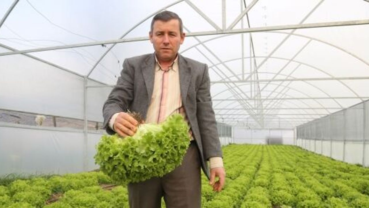    BÜYÜKŞEHİR'İN SERA DESTEĞİ İLE ÜRETİM DAHA KALİTELİ