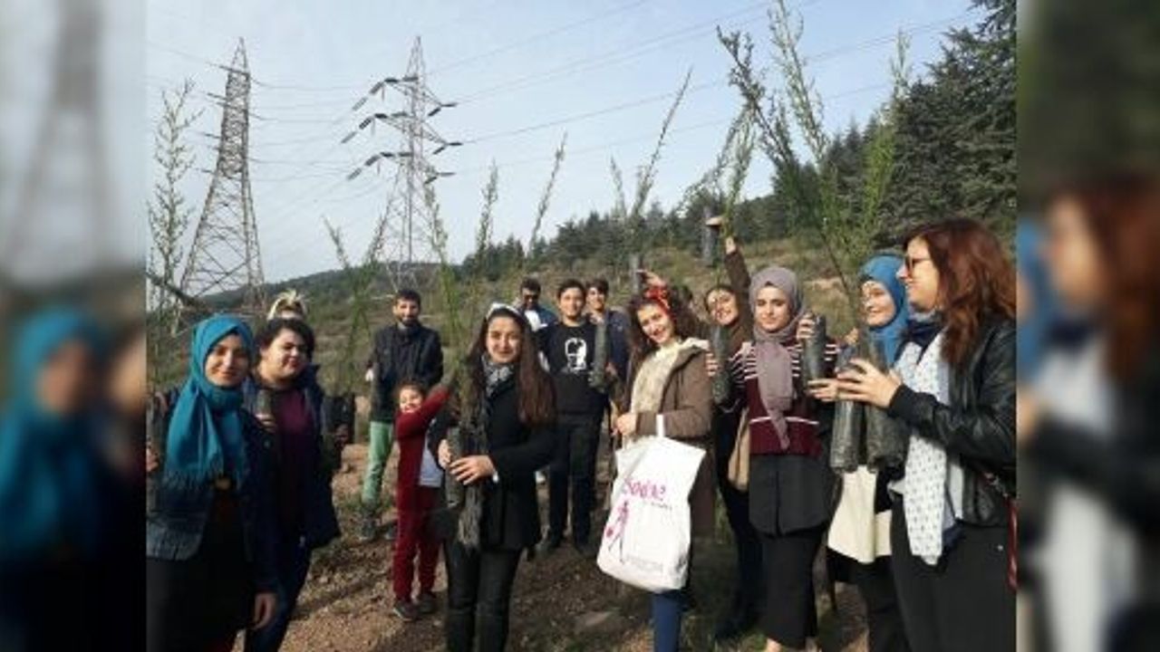 KÖRFEZ'DE 30 BİN FİDAN TOPRAKLA BULUŞTURULDU