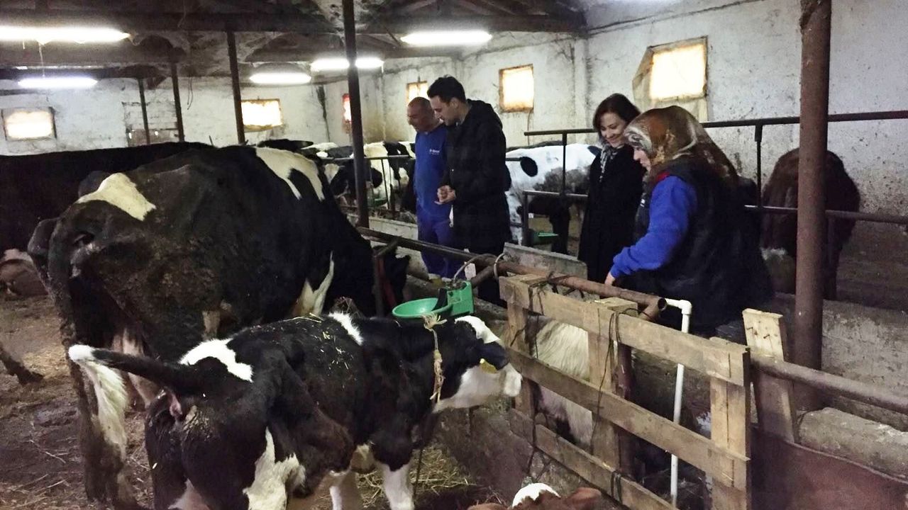 VETERİNER HEKİM VE ZİRAAT MÜHENDİSİ KÖYLÜNÜNÜN AYAĞINA GİDİYOR