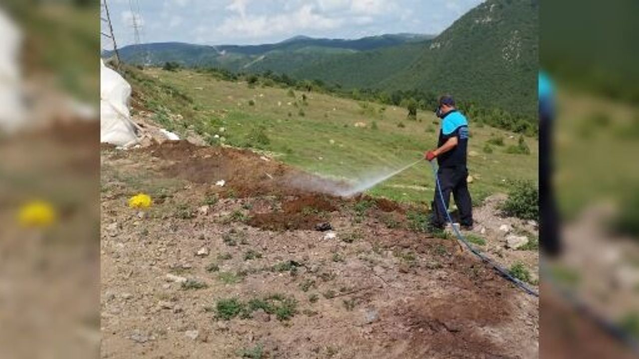 Kurban Pazarı İlaçlandı  Hijyen İçin Poşet Dağıtıldı