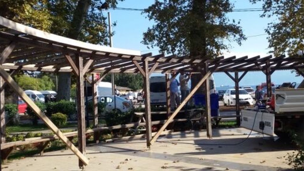 Körfez'de Kamelyalar Elden Geçiriliyor