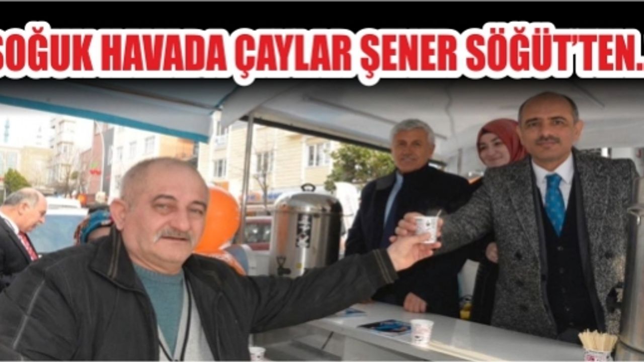 Söğüt Vatandaşa Elleriyle Çay İkram Etti