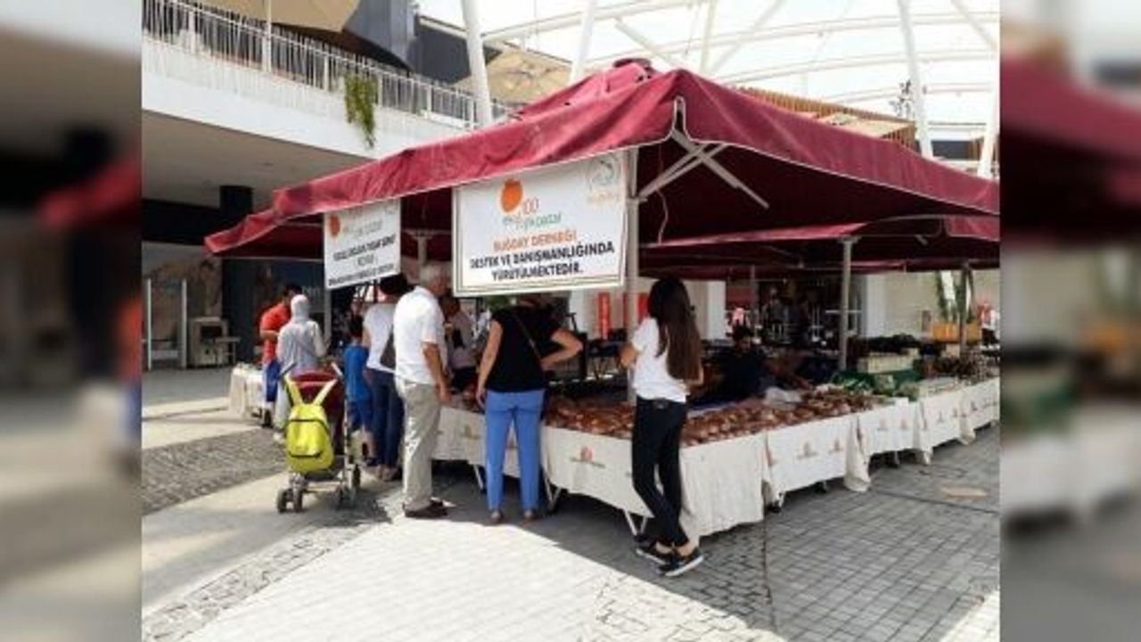 ORGANİK TARIM İÇİN TOHUM TAKASI YAPILDI