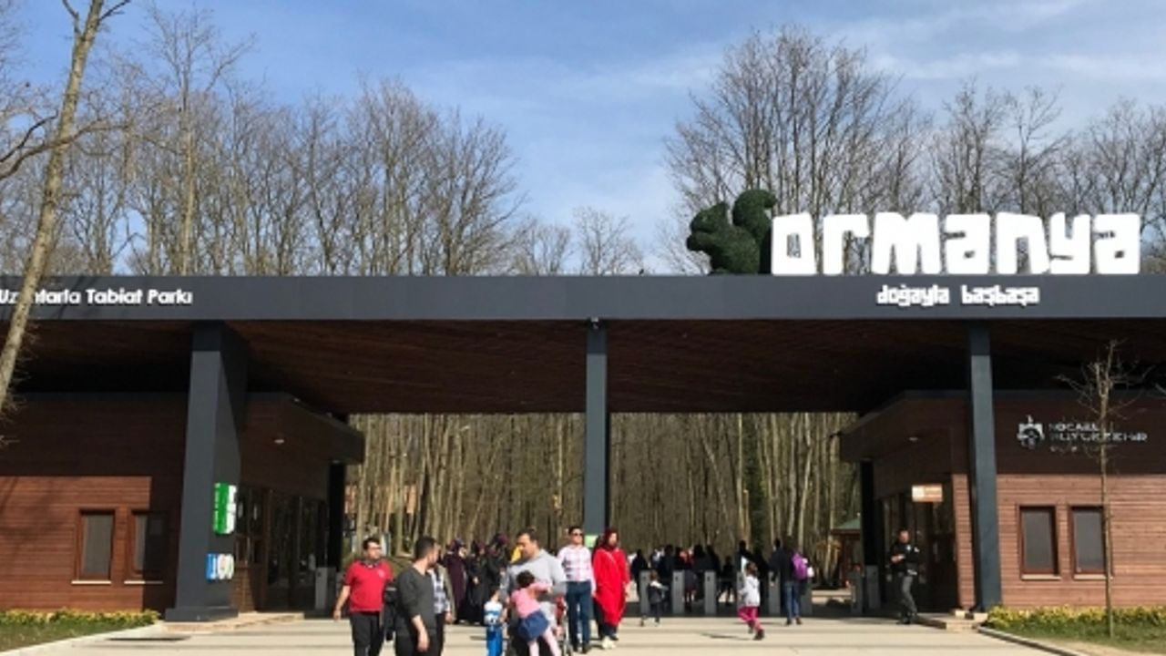 Ormanya’da Yaban Hayvan Popülasyonu Artıyor