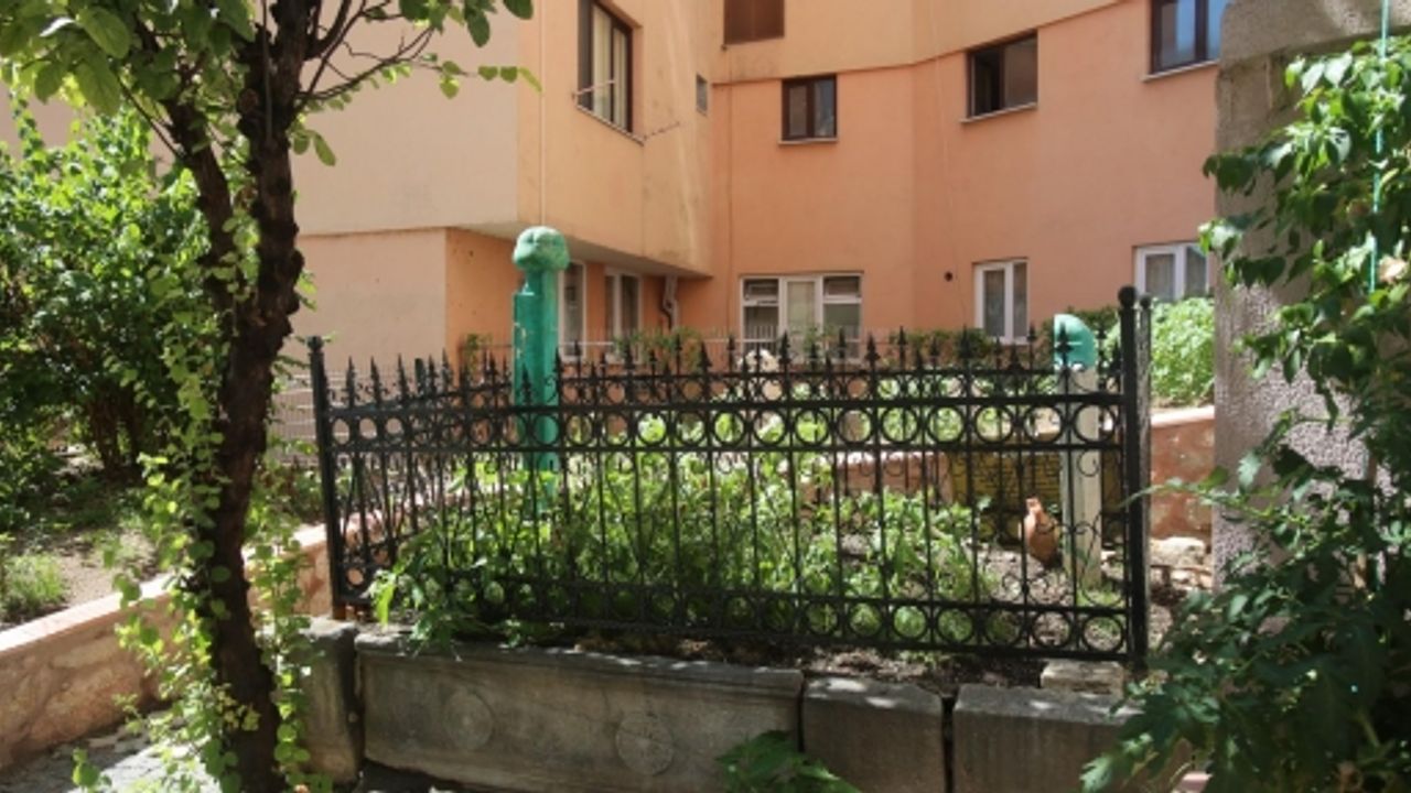 Tarihine Sahip Çıkan ‘Kocaeli’:  İki Asırlık Kabre Sahip Çıkıldı