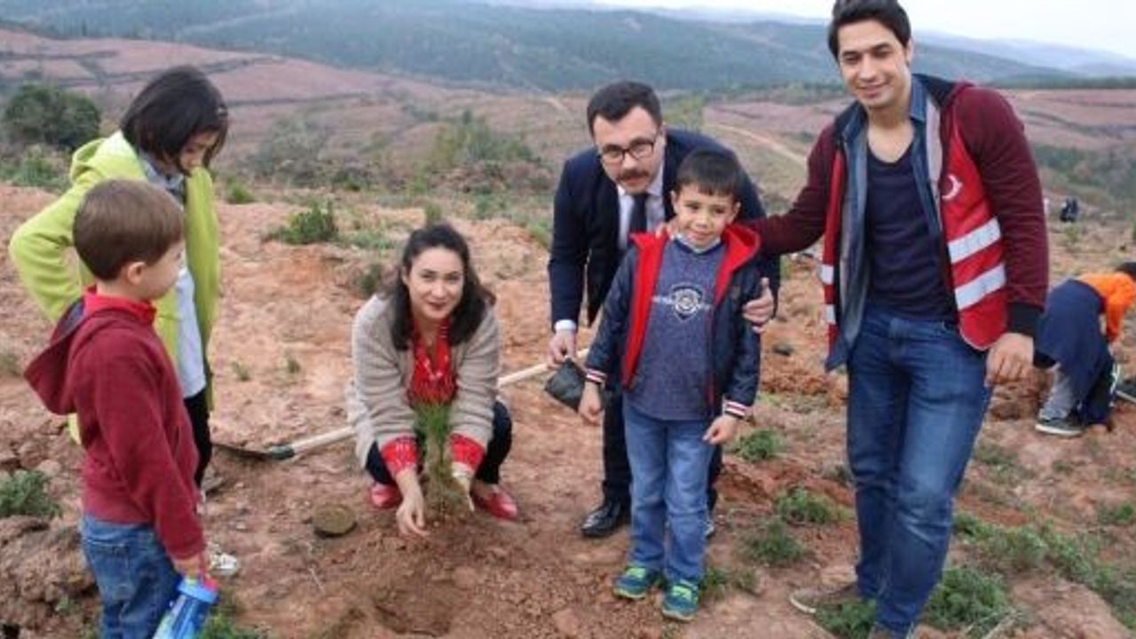 Kocaeli Kent Konseyi Üyeleri Fidan Dikti