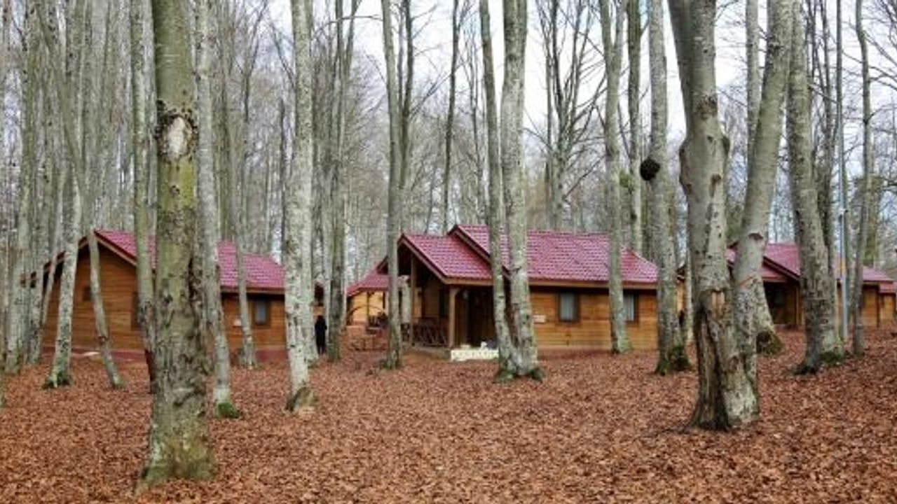 Sonbaharın Tüm Renkleri Ve Güzellikleri Eriklitepe’de
