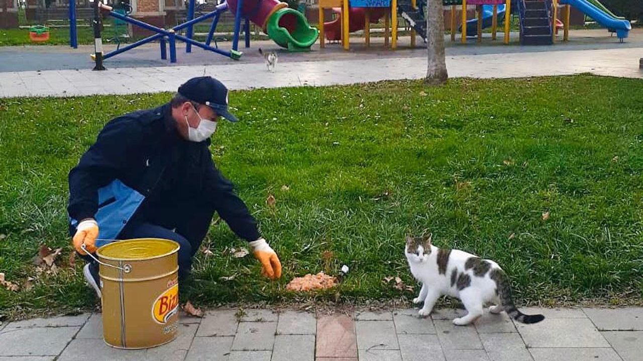 Körfez’de Sokak Hayvanları Unutulmuyor
