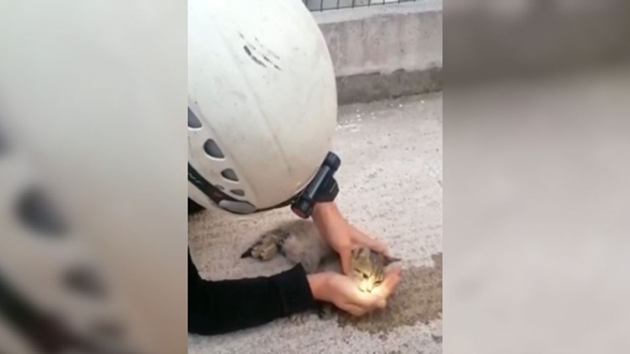 Büyükşehir İtfaiyesi Yavru Kediyi Hayata Döndürdü