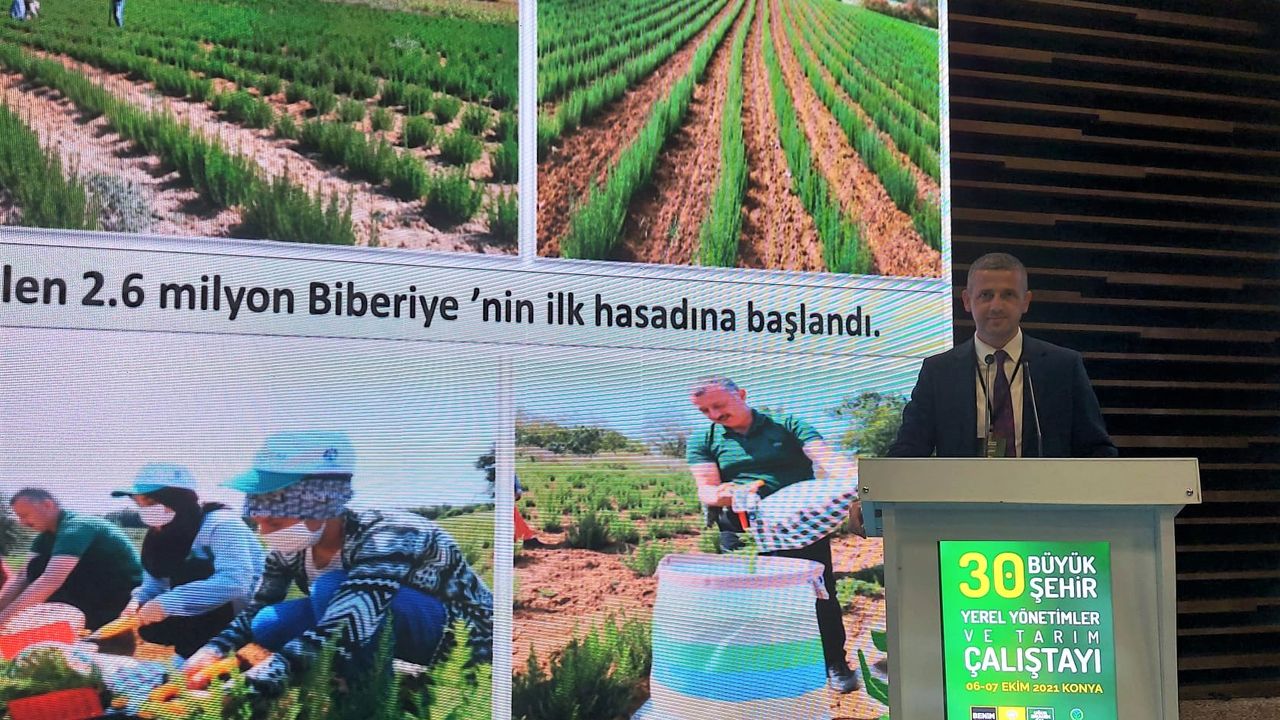 KOCAELİ BÜYÜKŞEHİR, TARIMA DESTEK PROJELERİYLE TÜRKİYE’YE ÖRNEK OLUYOR