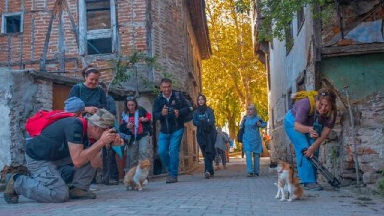 4 Mevsim Kocaeli Kapsamında Foto Safari Gerçekleştirildi