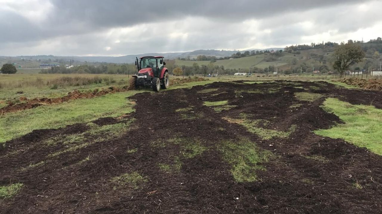 Atıl Arazilere Buğday Ekildi, Kompost Kullanıldı