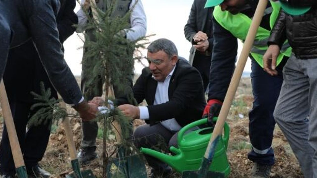 Dilovası’nda 2 Bin 500 Fidan Toprakla Buluştu