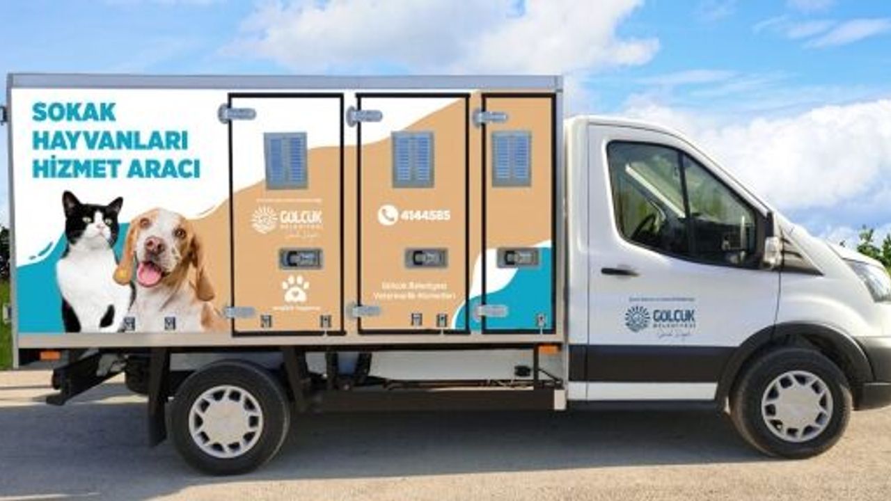 GÖLCÜK BELEDİYESİ SOKAK HAYVANLARINI ÖZEL ARAÇ İLE NAKLEDECEK
