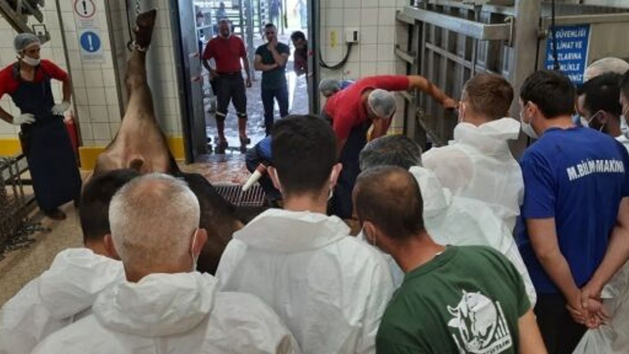 KO-MEK, Kurban Bayramı Öncesinde Eğitim Verecek