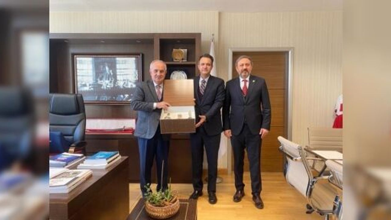 Derince'ye Modern Hayvan Satış Yeri Ve Kurban Kesim Alanı Yapılacak