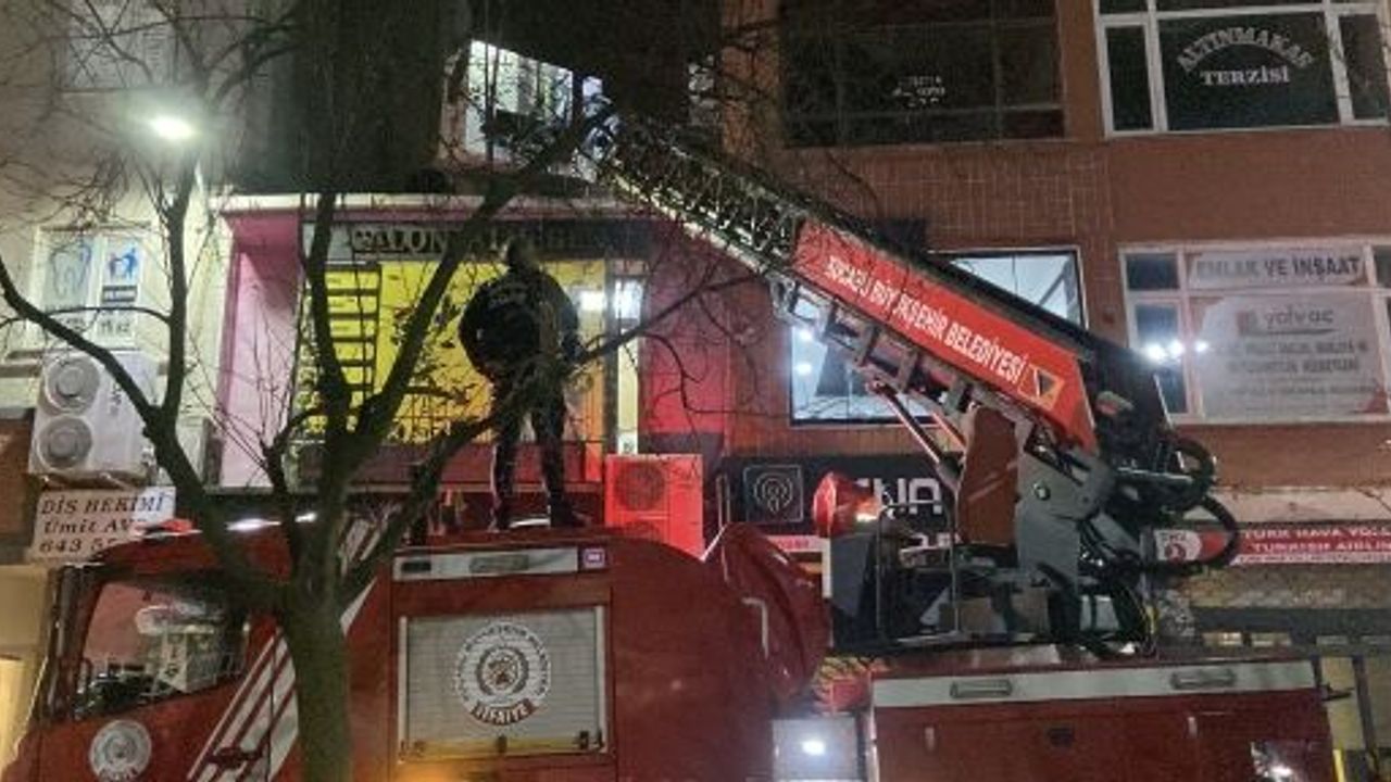 Evden Kaçıp Çatıda Mahsur Kalan Kediyi İtfaiye Kurtardı
