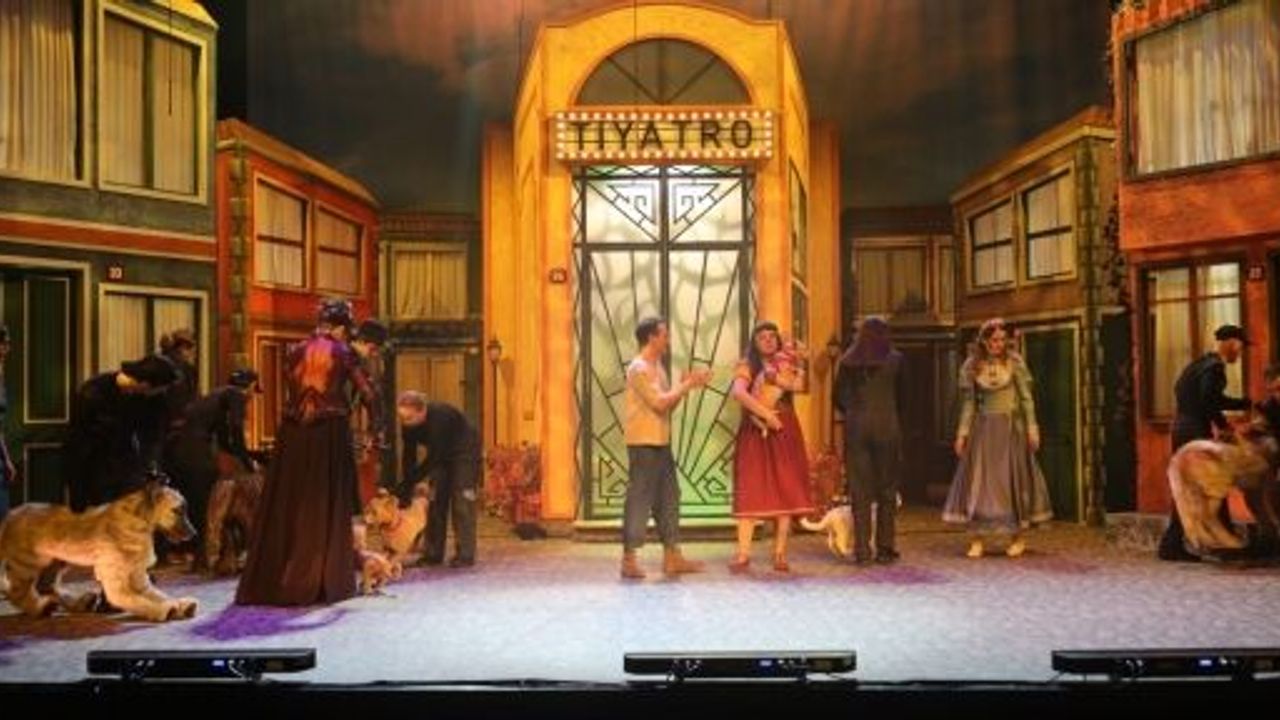 “Şebo Müzikali” Sokak Hayvanlarının Sesi Oldu
