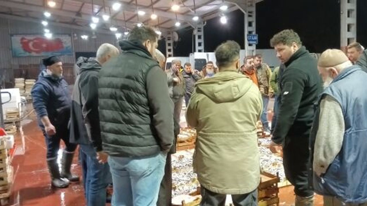 AV YASAĞI BAŞLADI, KÜÇÜK TEKNELERİN GETİRDİĞİ BALIKLAR MEZATTA SATILDI