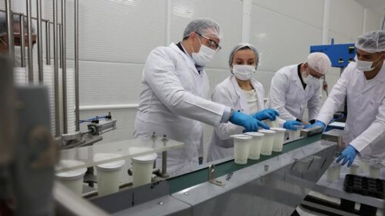 DERTAŞ Tesisleri’nde Ayran Üretimi Başlıyor