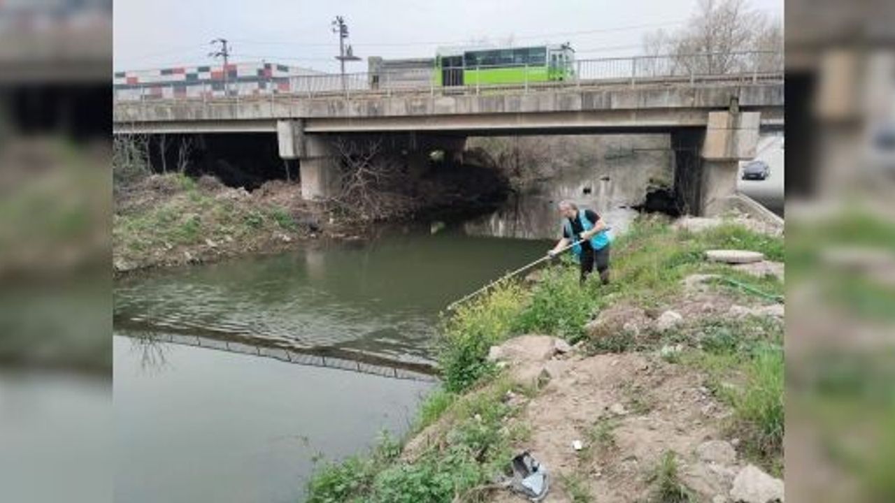 İzmit Körfezi’ne Akan 12 Dere Yakından İzleniyor