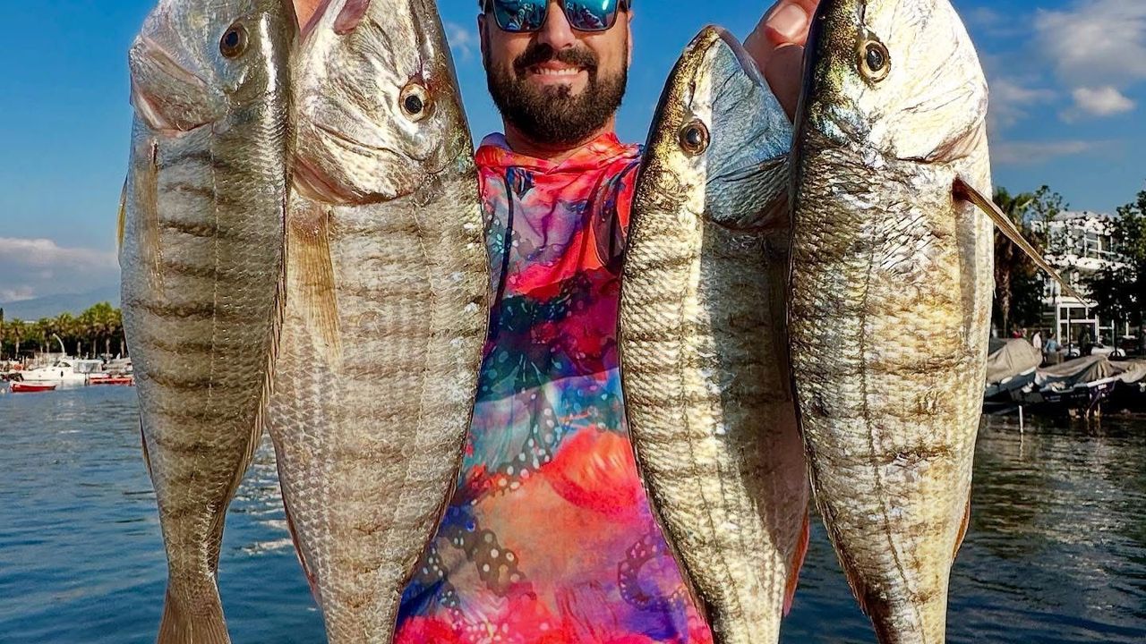 İzmit Körfezi’nden Bereket Fışkırıyor