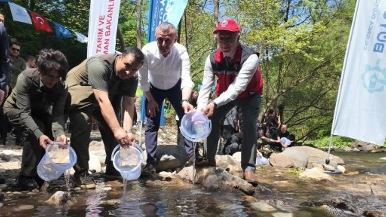 Kirazdere’ye 2 Yılda 16 Bin Alabalık Salındı