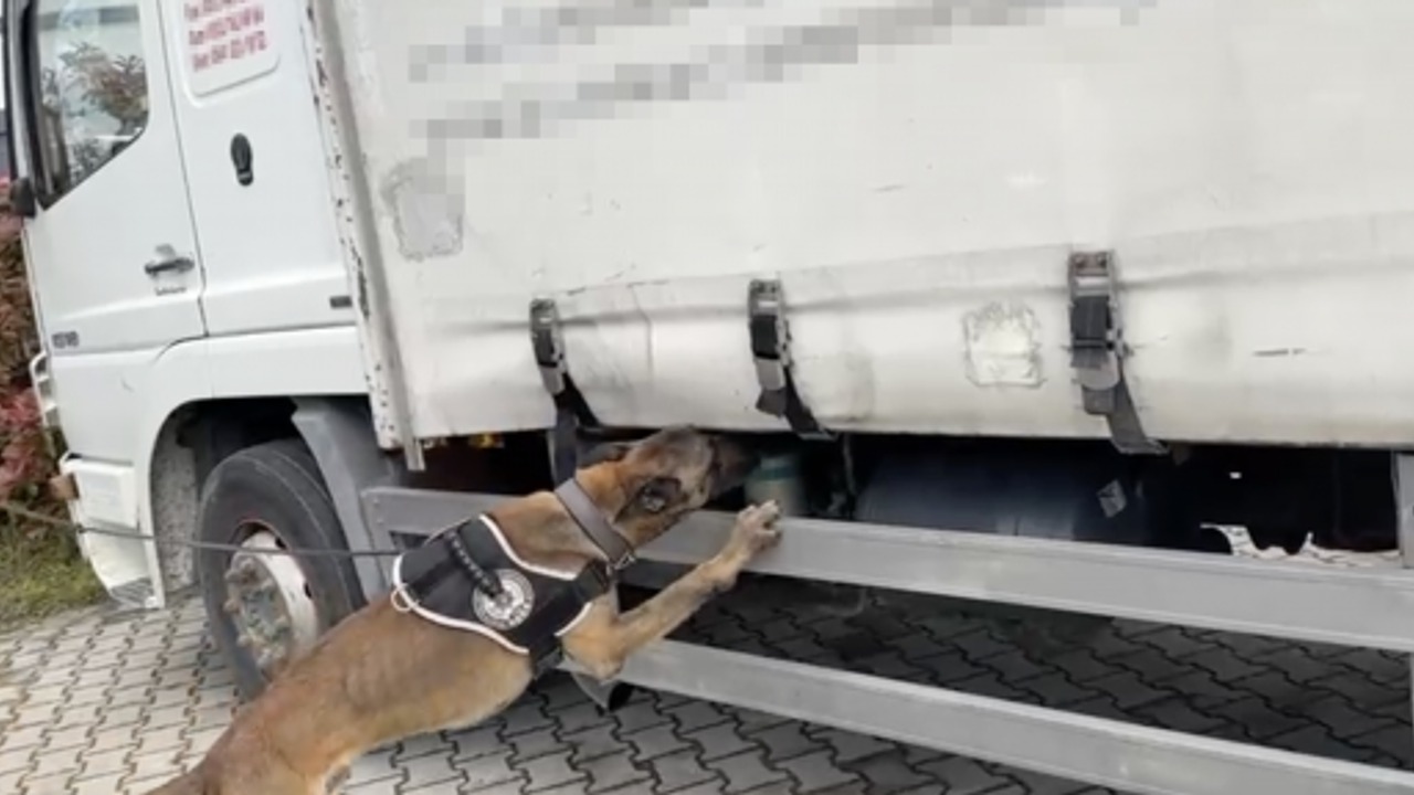 NARKOTİK KÖPEĞİ TEPKİ VERDİ, KLİMALARIN ARASINDAN BİNLERCE UYUŞTURUCU ÇIKTI