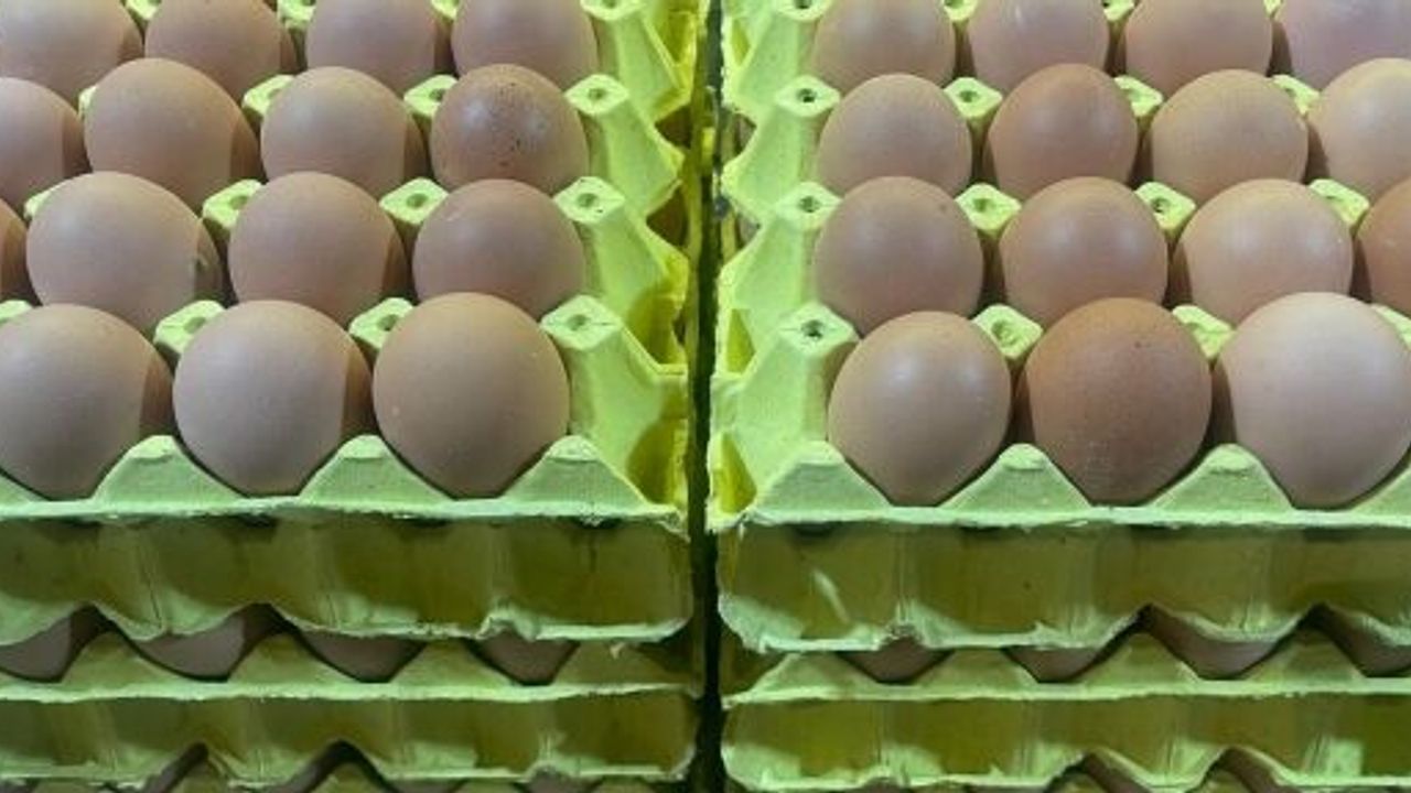 Yumurta Kabuğu Deyip Geçmeyin Sanayide Çok Değerli