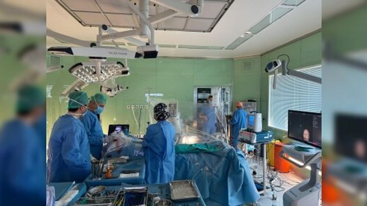 TÜRK BİLİM İNSANLARINDAN DEVRİM NİTELİĞİNDE YENİLİK