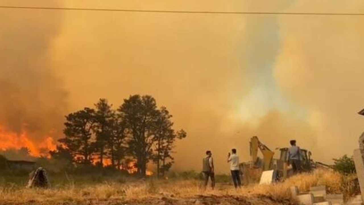 Kocaeli'de Çıkan Orman Yangını Büyüyor