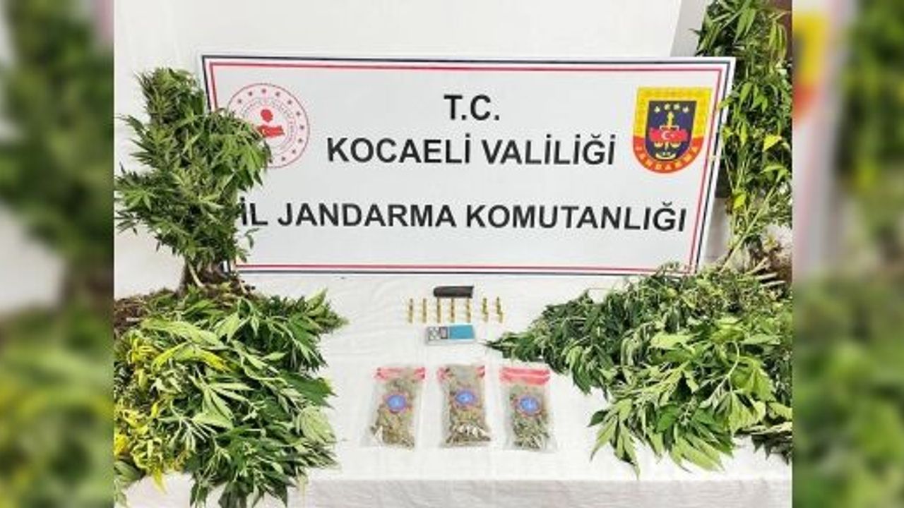 KOCAELİ'DE UYUŞTURUCU OPERASYONLARINDA 1 ŞÜPHELİ TUTUKLANDI
