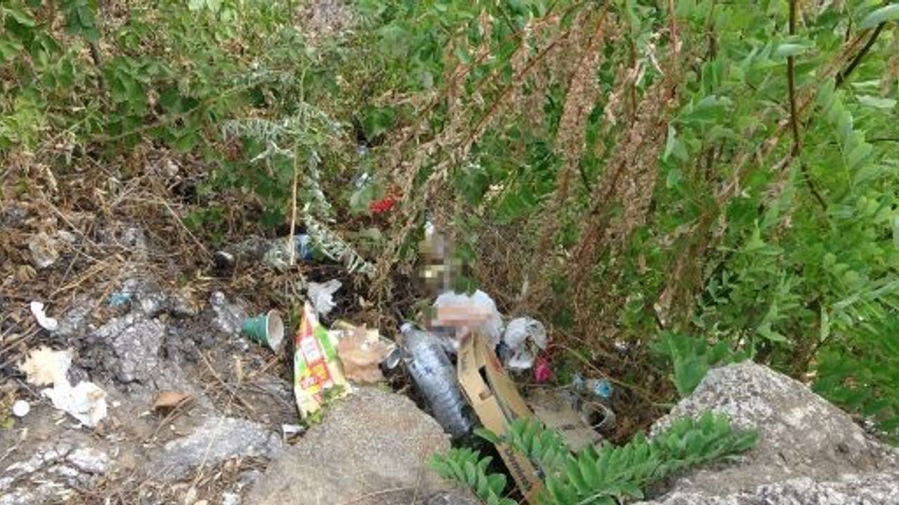 Kuraklık Yetmedi, Şimdi De Çöplerle Boğuşuyor