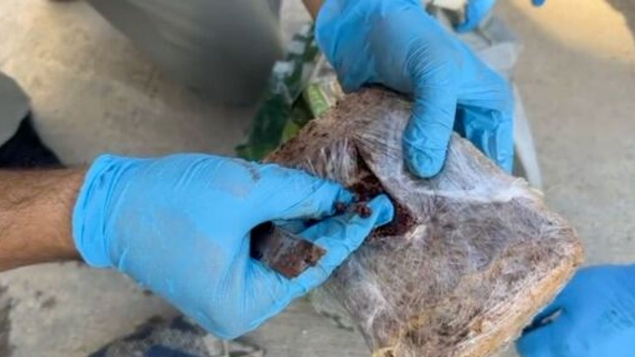 Şehirlerarası Otobüste Pul Biber İçine Zulalanmış Eroin Ele Geçirildi