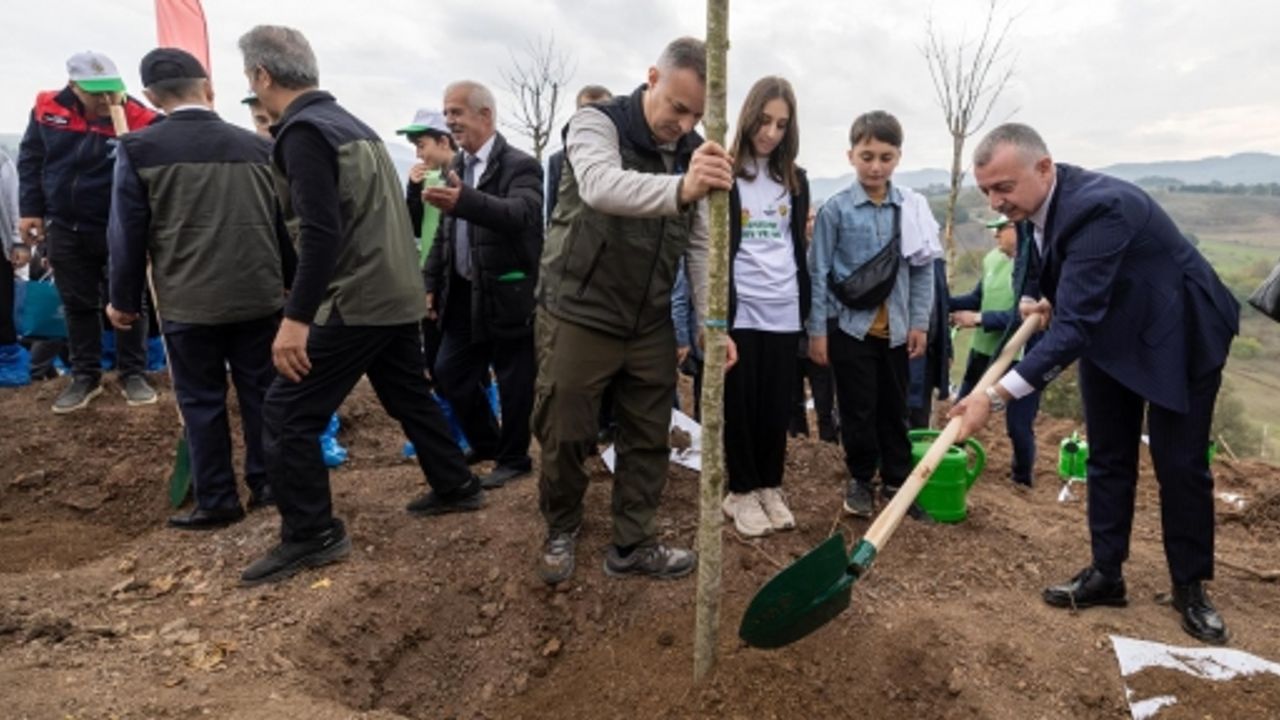 Karamürsel’de Yanan Bölge 3 Bin Fidanla Yeniden Yeşerecek