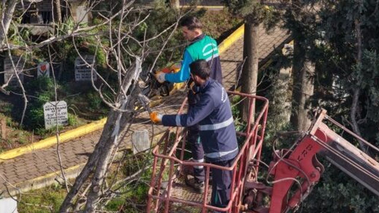 BUDANAN AĞAÇ DALLARI İHTİYAÇ SAHİPLERİNE YAKACAK OLUYOR