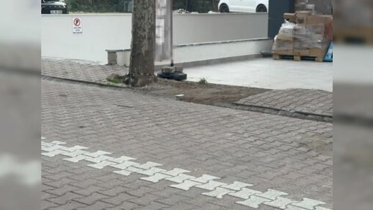 ÇÖPE ATMAK İÇİN YERDEN ALDIĞI KARGO POŞETİNİN İÇİNDEN 60 BİN DOLAR ÇIKTI