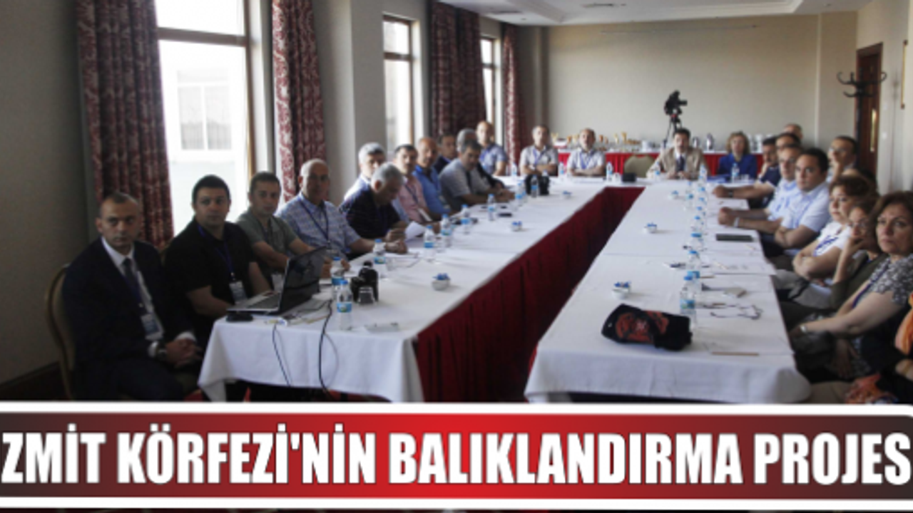 İzmit Körfezi’nin Balıklandırma Projesi için çalıştay yapılıyor