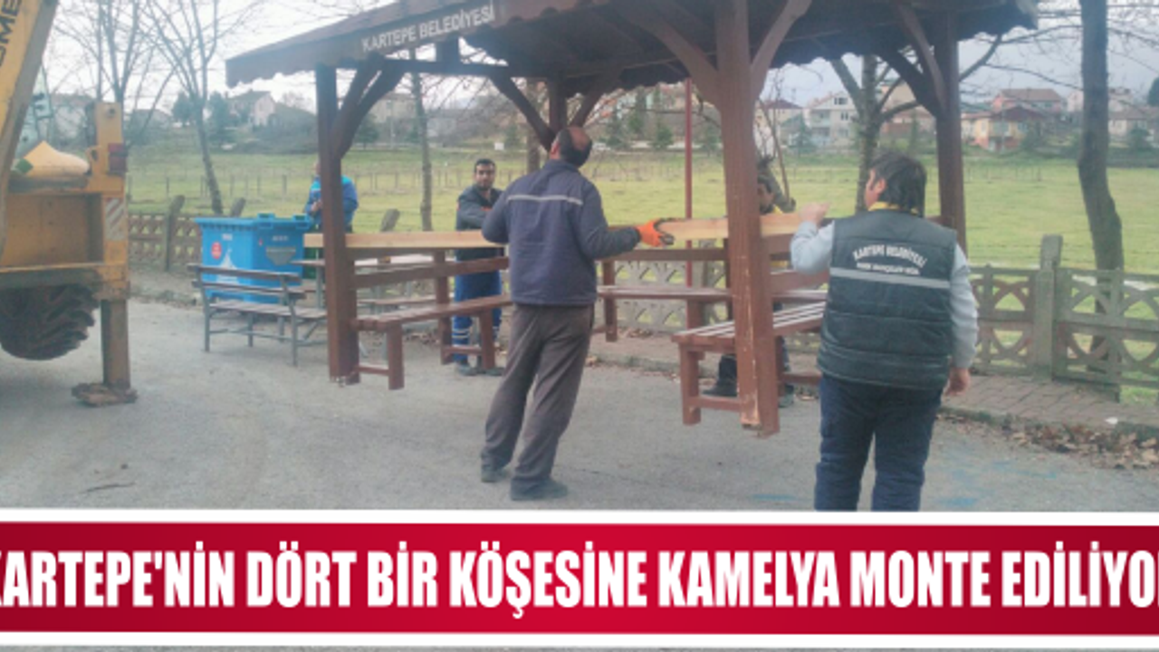 KARTEPE’NİN DÖRT BİR KÖŞESİNE KAMELYA MONTE EDİLİYOR