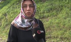 Derince'de Başıboş Köpek Tepkisi: "30'a Yakın Köpek Bir Arada Dolaşıyor"