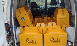 Kandıra TOKİ Konutlarında 38 Köpek ve 17 Kedi Tahliye Edildi