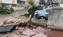 KOCAELİ'DE ŞİDDETLİ RÜZGAR 12 METRELİK AĞACI DEVİRDİ: YOL TRAFİĞE KAPANDI