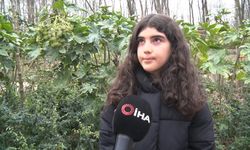 Kartepe'deki kavganın en büyük mağduru çocuklar oldu: 'Babama 5 kişi saldırdılar, kafasını ATV'ye vurdular'