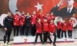 Körfezli karateciler Gaffar Okkan Turnuvası'ndan 8 madalyayla döndü