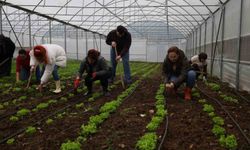 Tarım Akademisi'nde 16-55 yaş arası aday çiftçilere eğitim