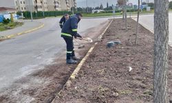 Körfez’de Çevre Düzenleme Çalışmaları Aralıksız Sürüyor