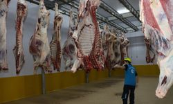 Kasapların Tercihi Büyükşehir Mezbahası