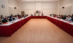 Kadına Yönelik Şiddetle Mücadele İl Eylem Planı Hazırlık Çalıştayı Gerçekleşti