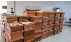 Arıcılık kursiyerlerine kovan desteği